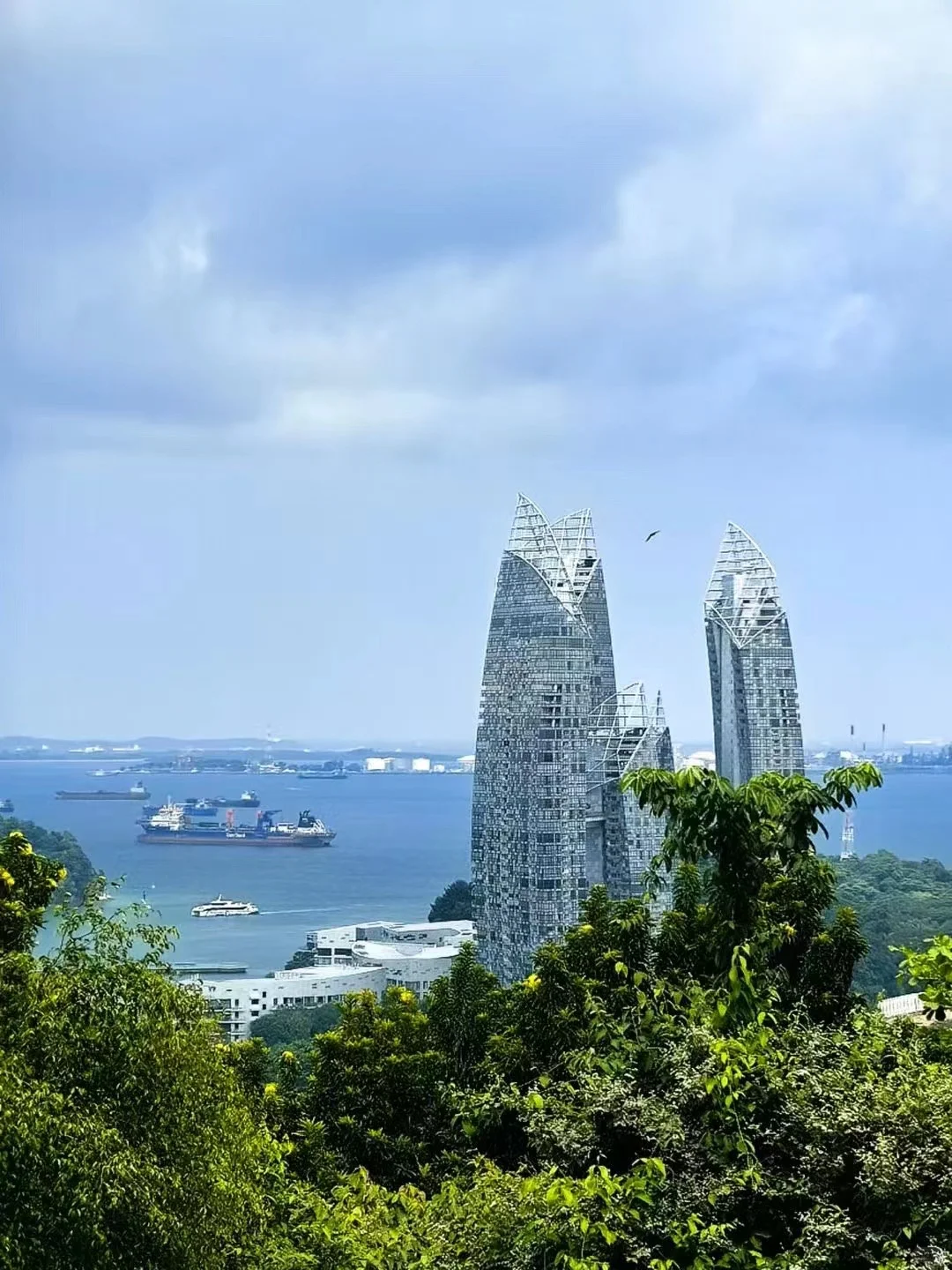 对女性最友好的国家，没有之一——新加坡🇸🇬