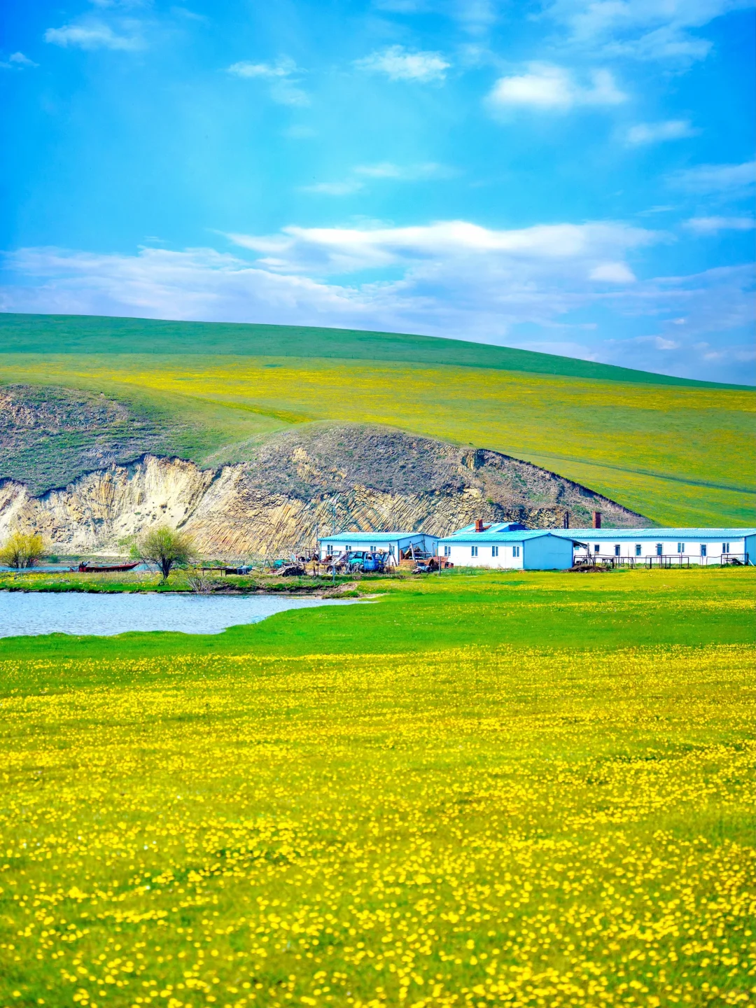 玩明白了!呼伦贝尔6天5晚超全攻略!不踩雷❗️