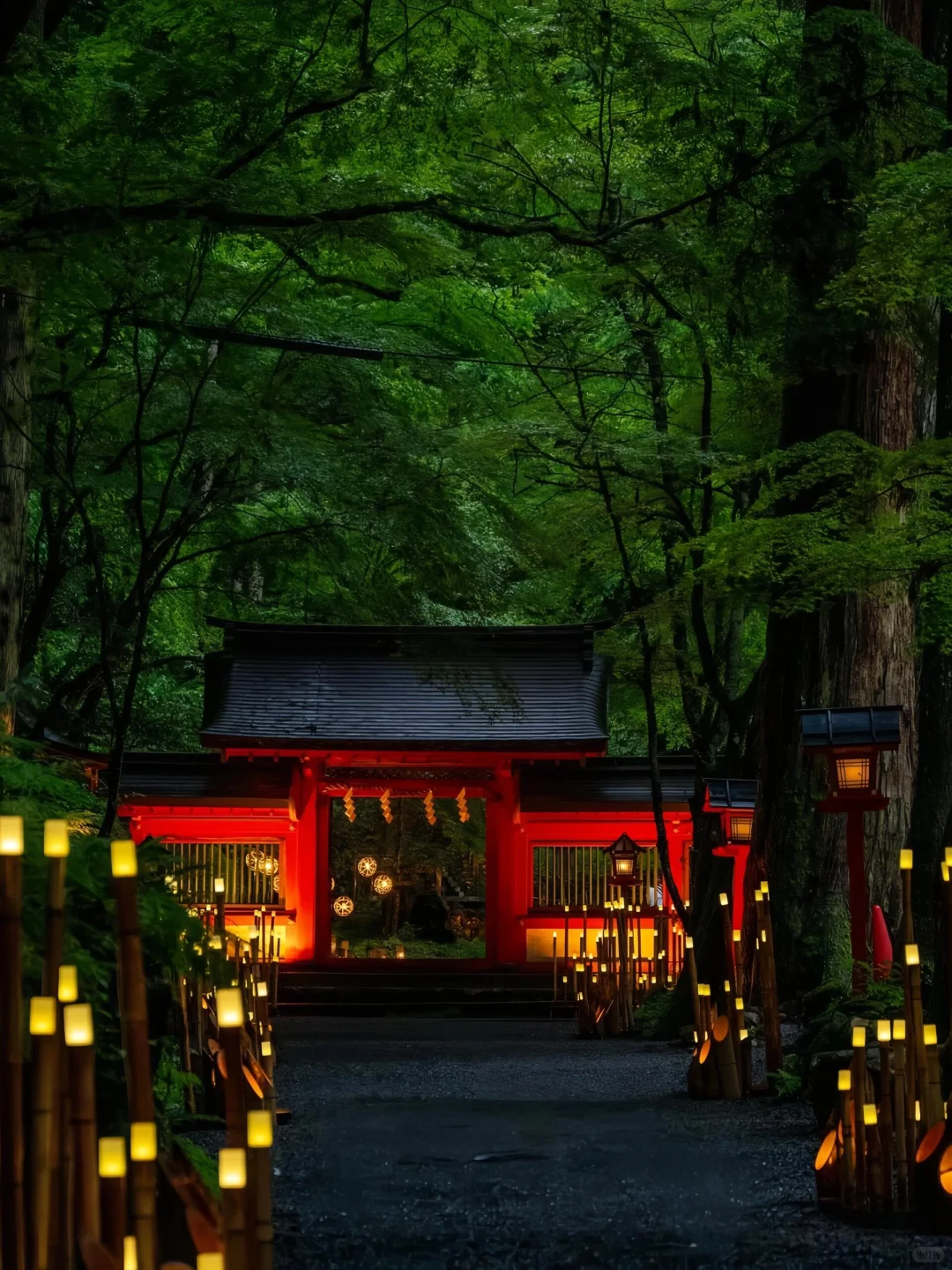 在日本玩了9天，我的消费观真的崩塌了😭