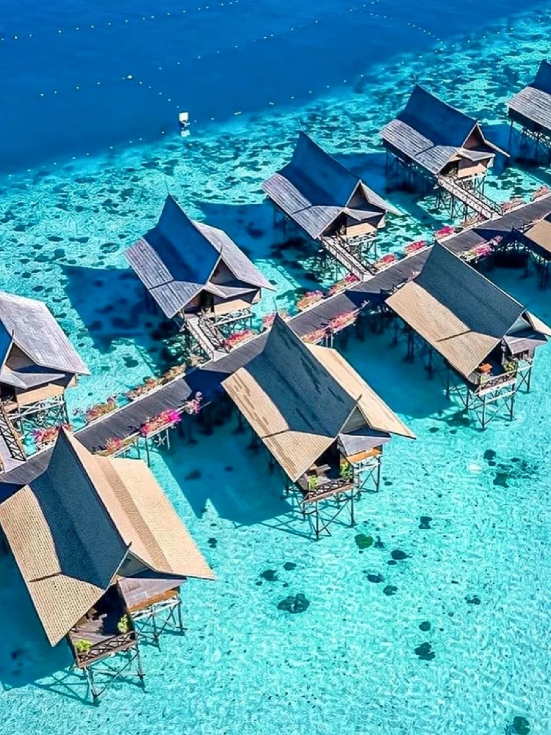 仙本那😅6天人均4k+还免签，暑假国庆冲呀