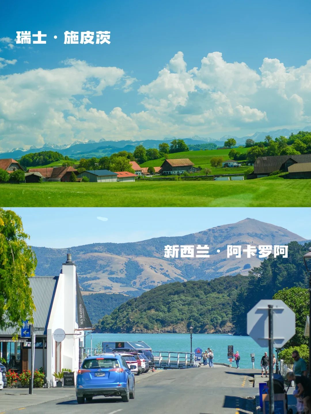 瑞士🆚新西兰实拍对比‼️吃喝玩乐优缺点速看