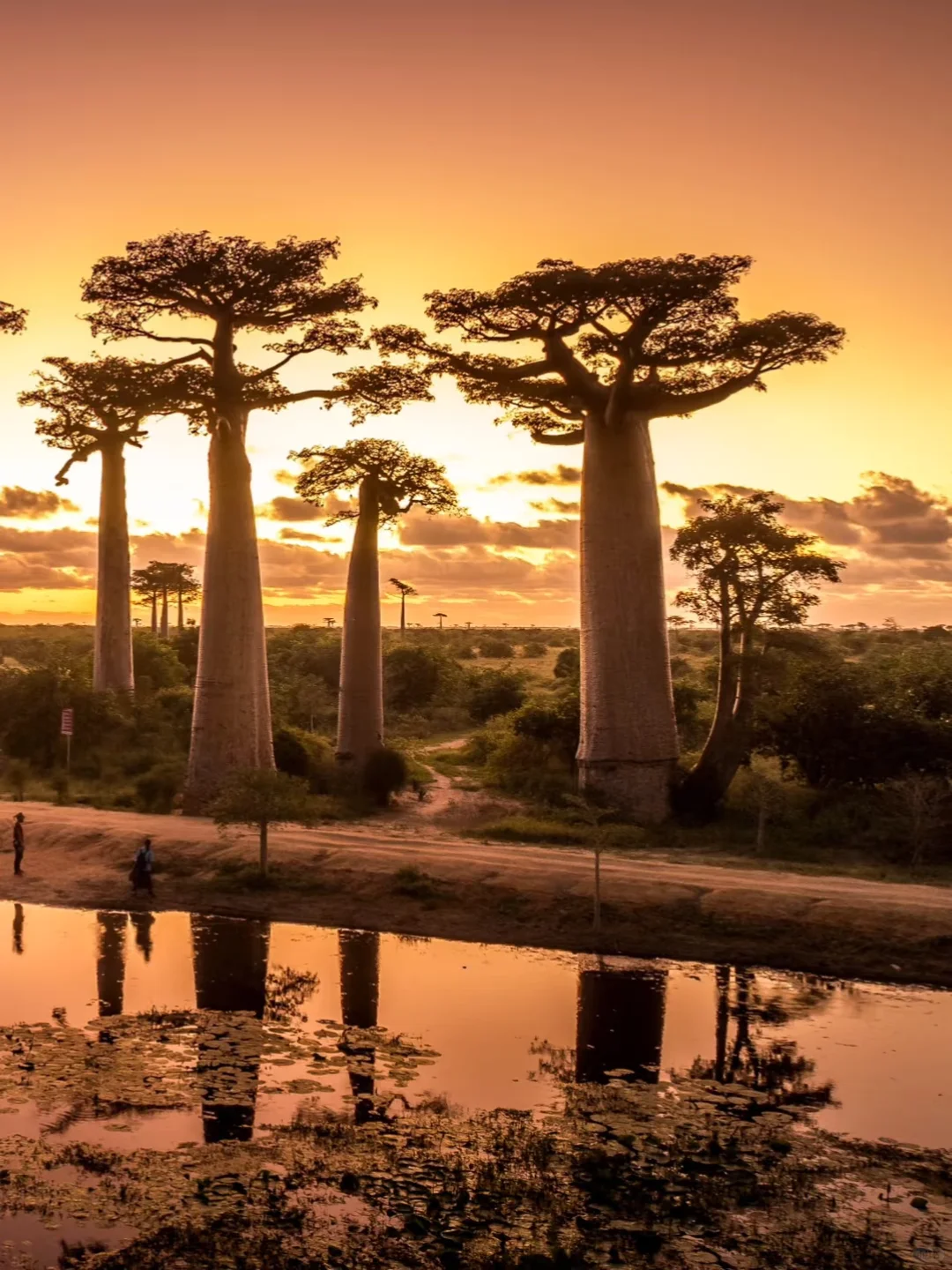 盘点全球小众旅游地第十集!!