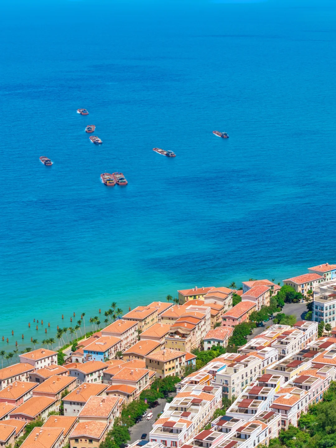 花小钱‼️盘点2025去过的8个境外宝藏旅游地