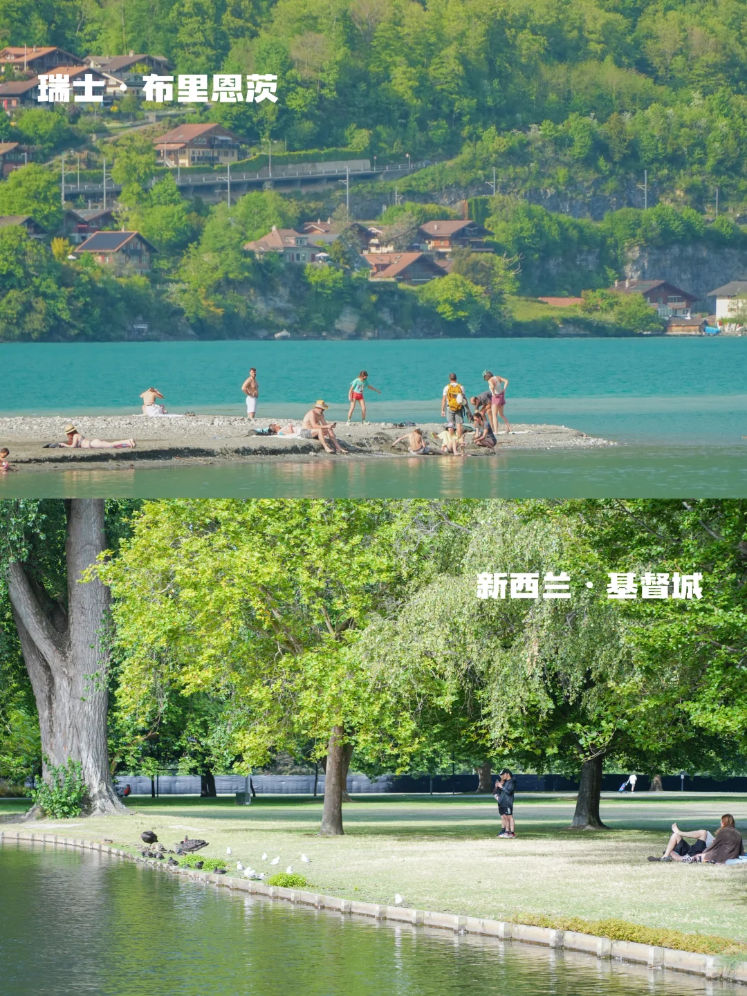 瑞士🆚新西兰实拍对比‼️吃喝玩乐优缺点速看