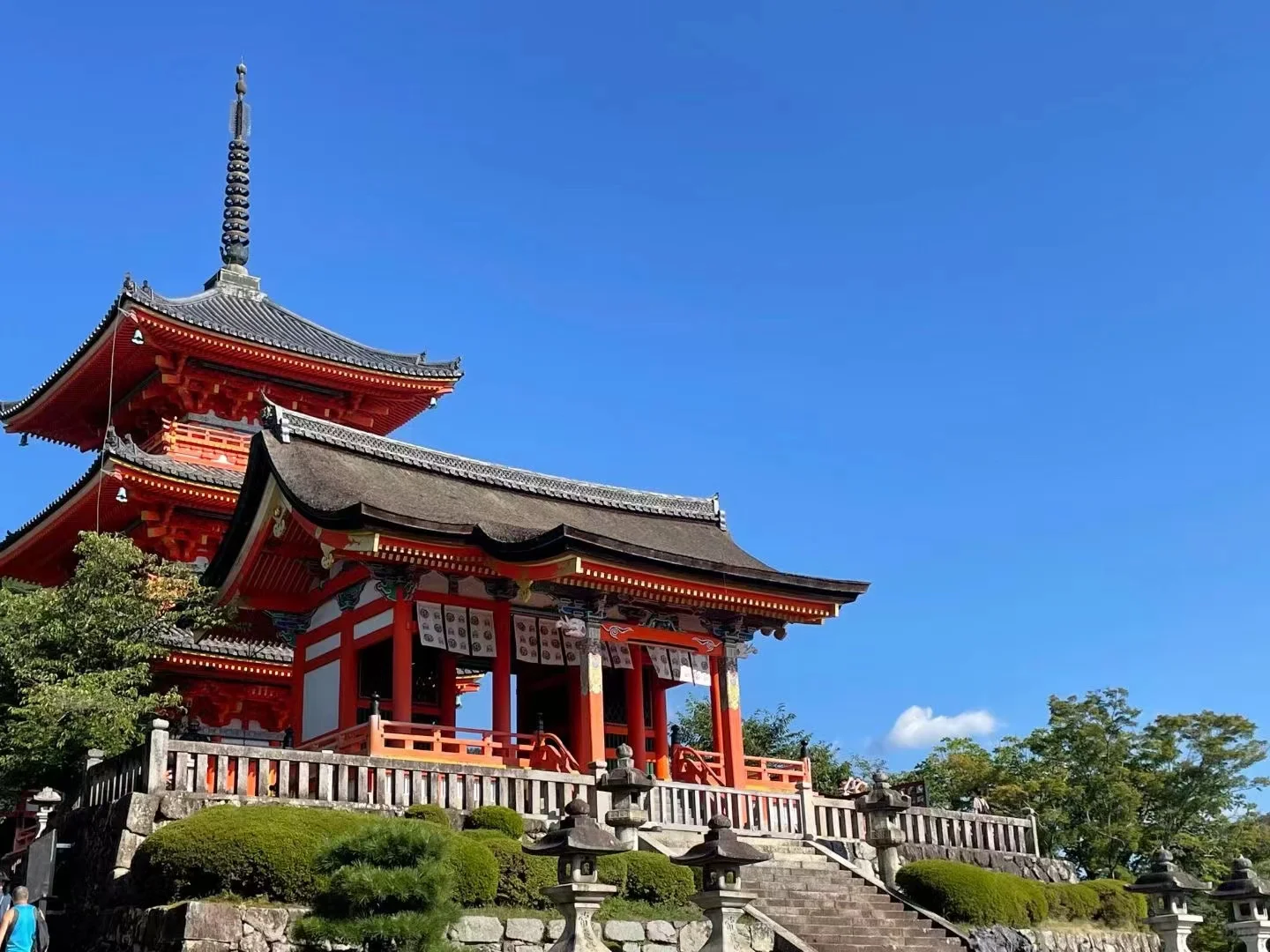 日本旅游已回，血泪教训！！！