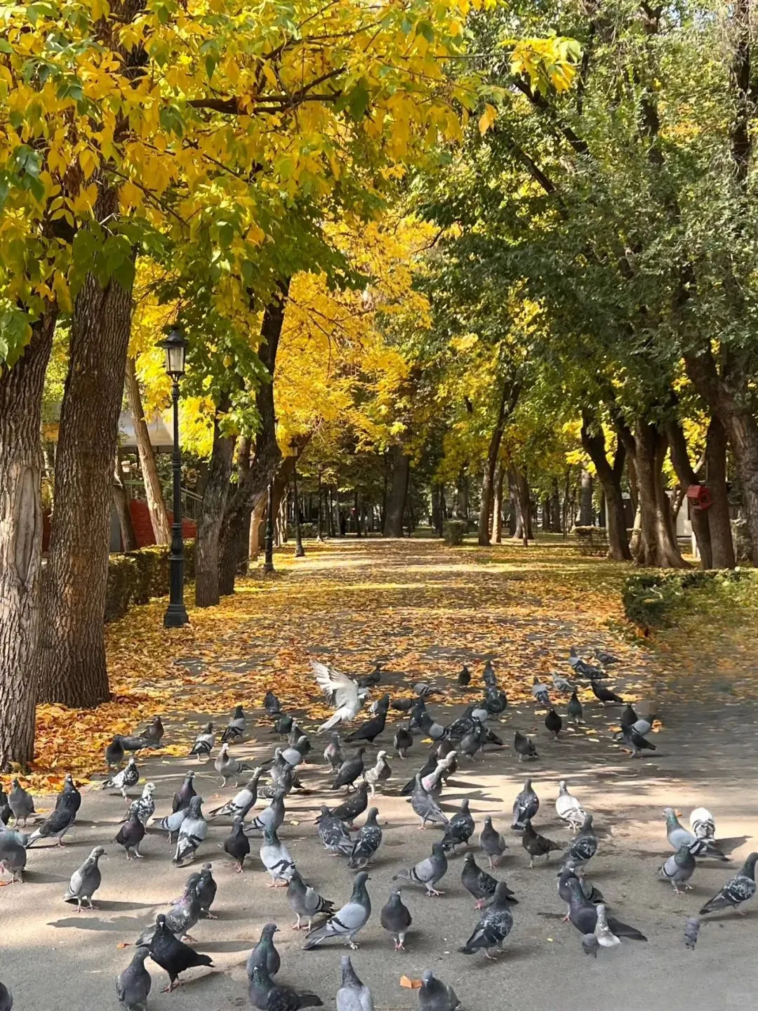 免签！中国神秘的邻国，坐大巴就能去‼️