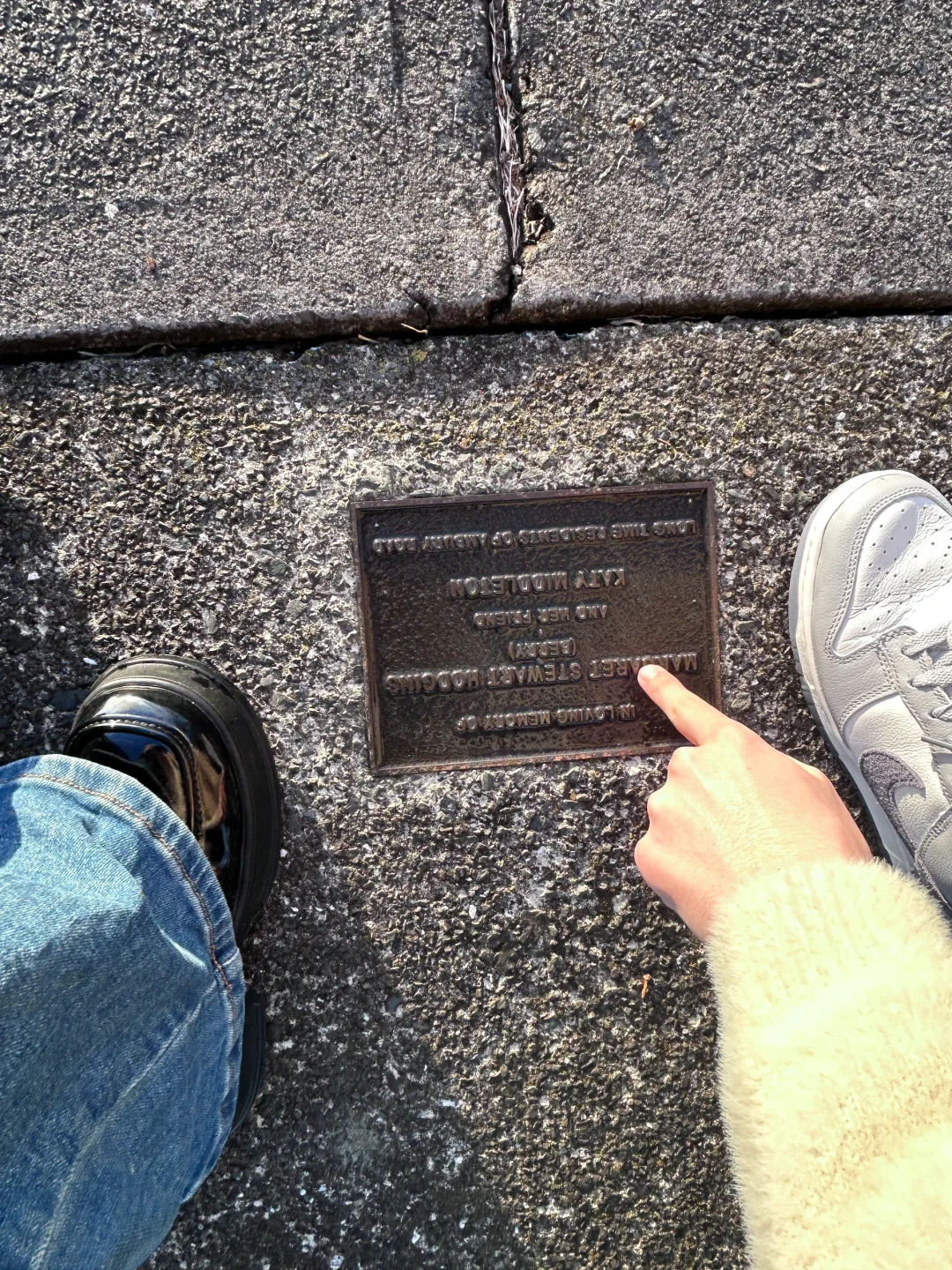 为什么我这么喜欢新西兰