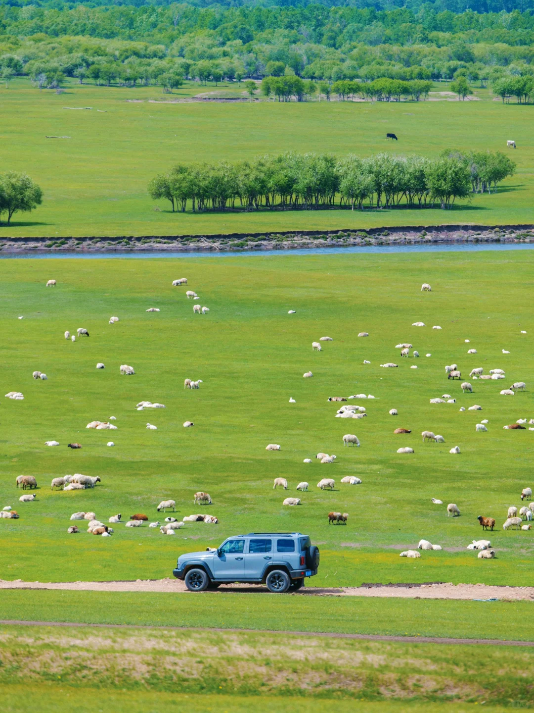 夏天的呼伦贝尔太适合遛娃了！六天五夜攻略