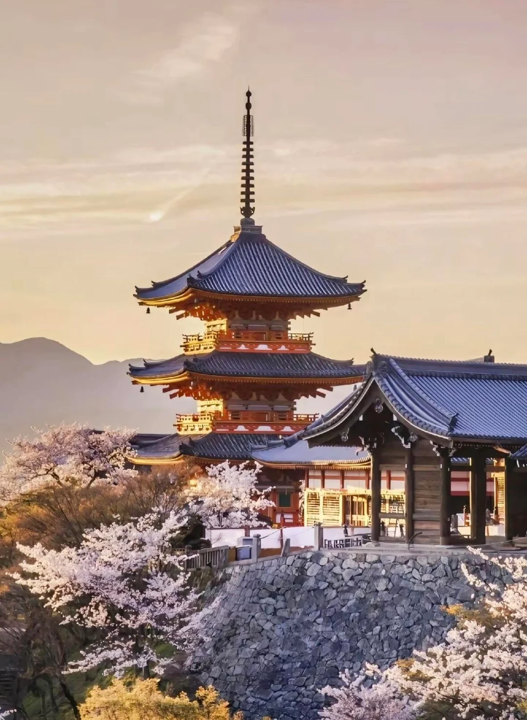 在日本玩了9天，我的消费观真的崩塌了😭