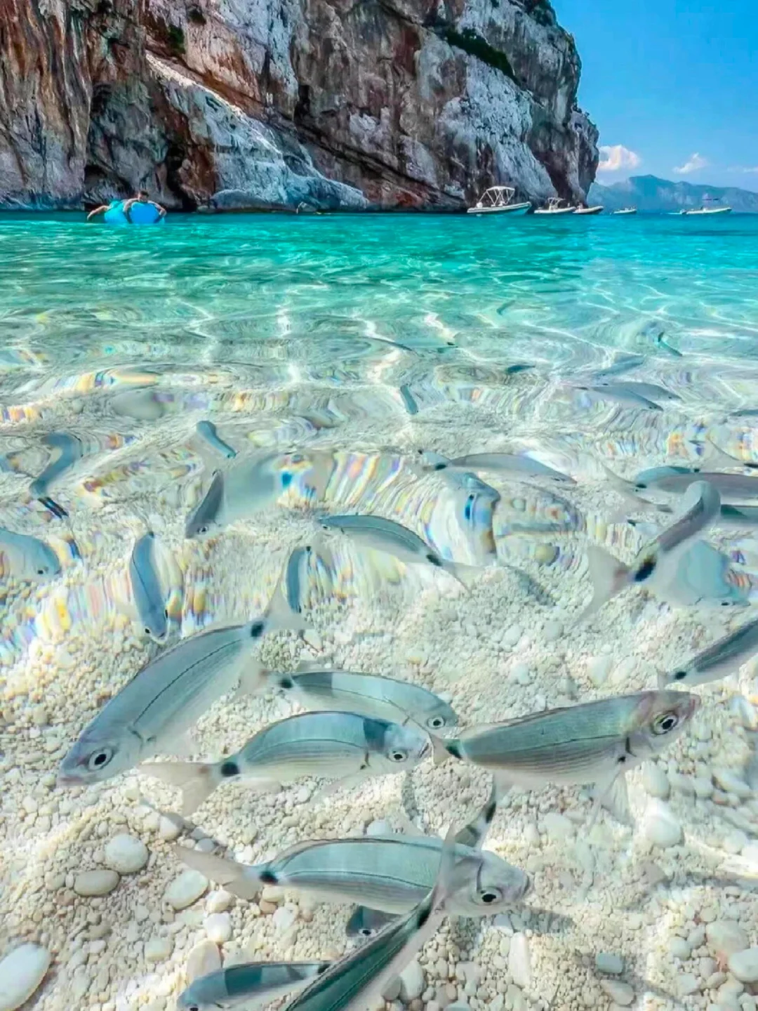 我去😅斐济没人去吗？7-8月暑假游划算哭😭