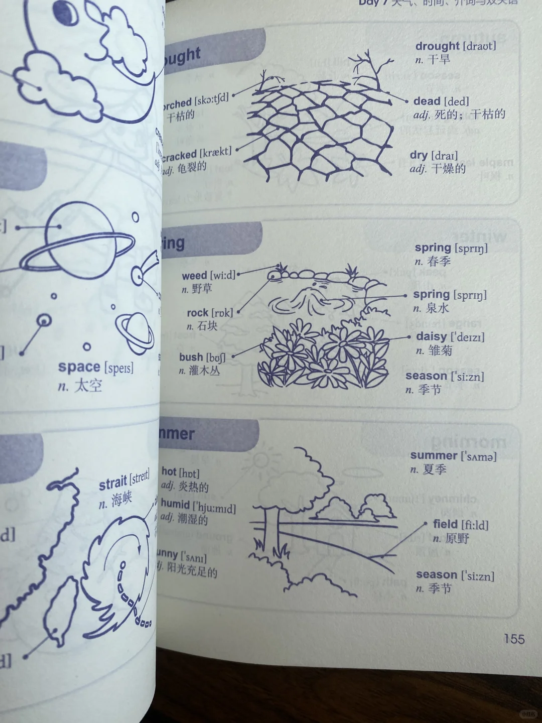 一目了然的张静初安利单词书