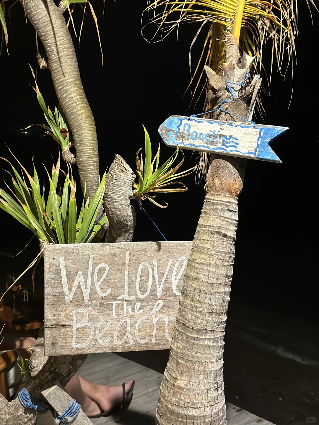 我们应该去享受世界🌍