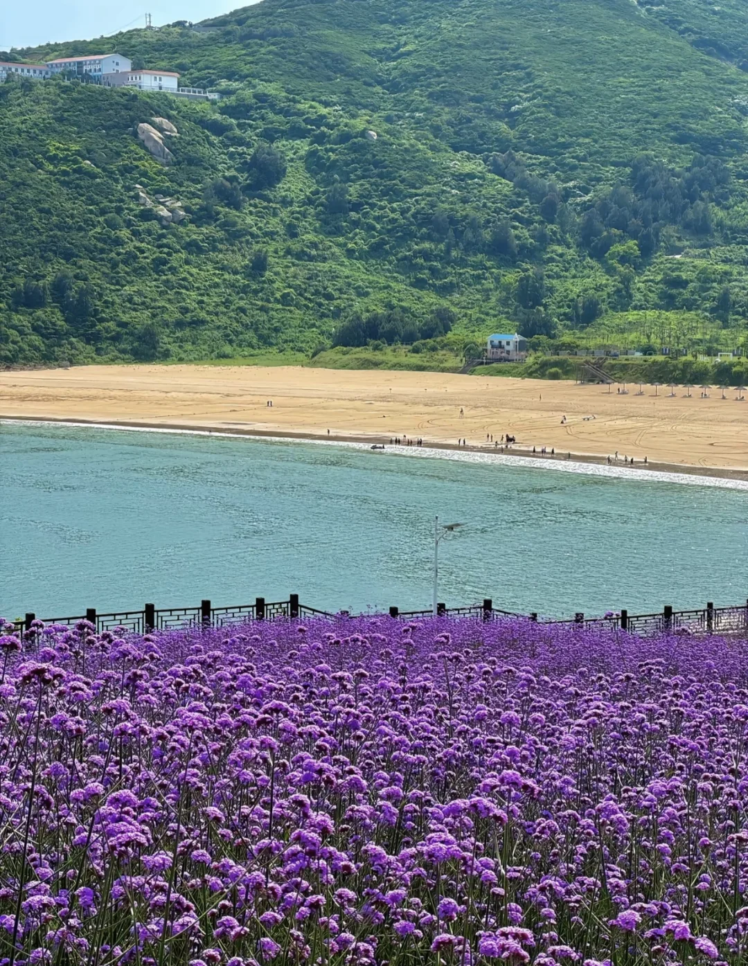 🌊2025南麂岛全攻略|承包你的海岛九宫格