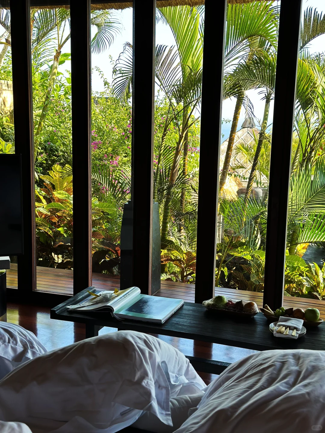 我们应该去享受世界🌍