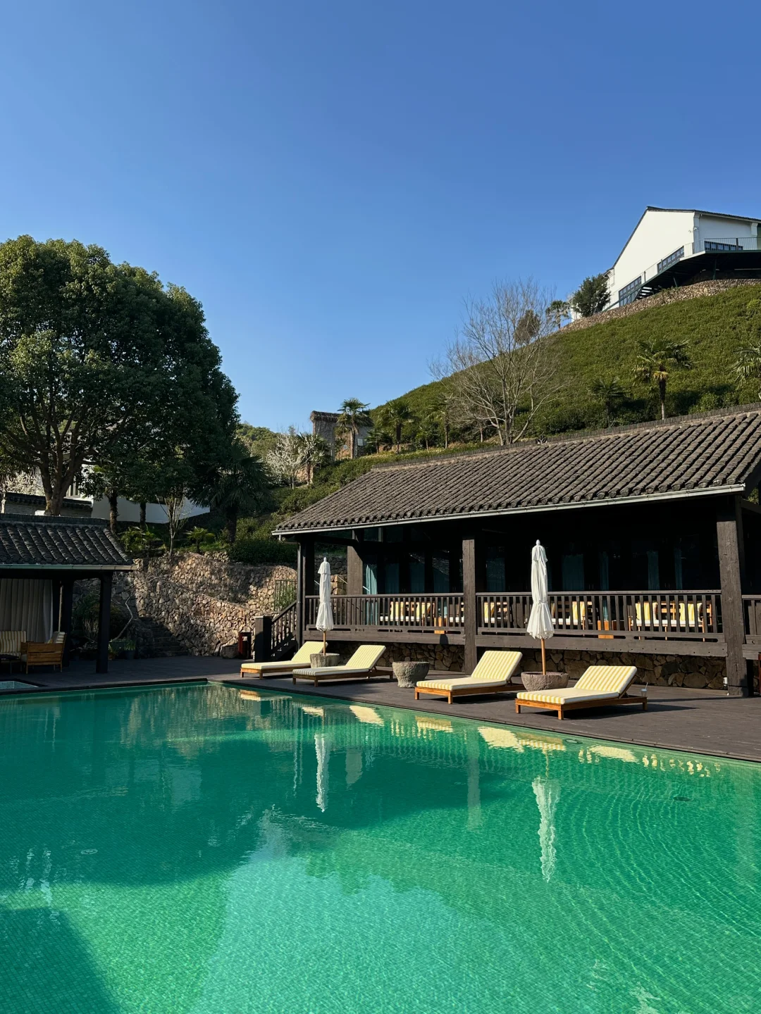 有点小钱有点品味的年度staycation🥥🏖️