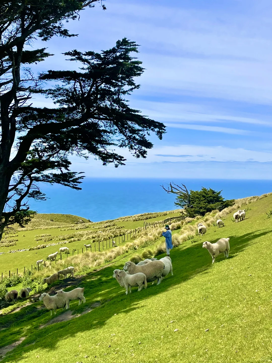 人生不过三万天，能记住一辈子的旅行瞬间❗️