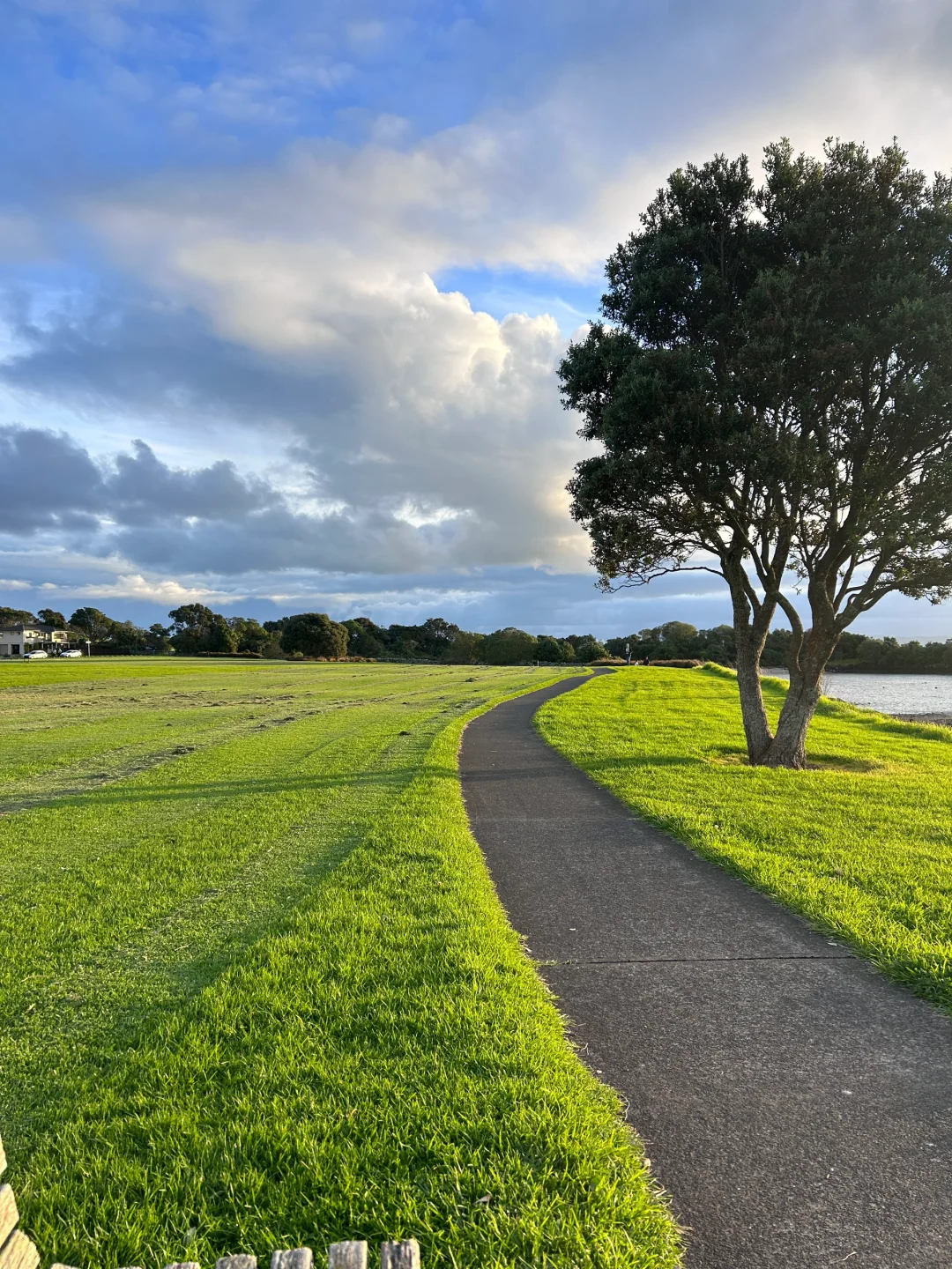 为什么我这么喜欢新西兰