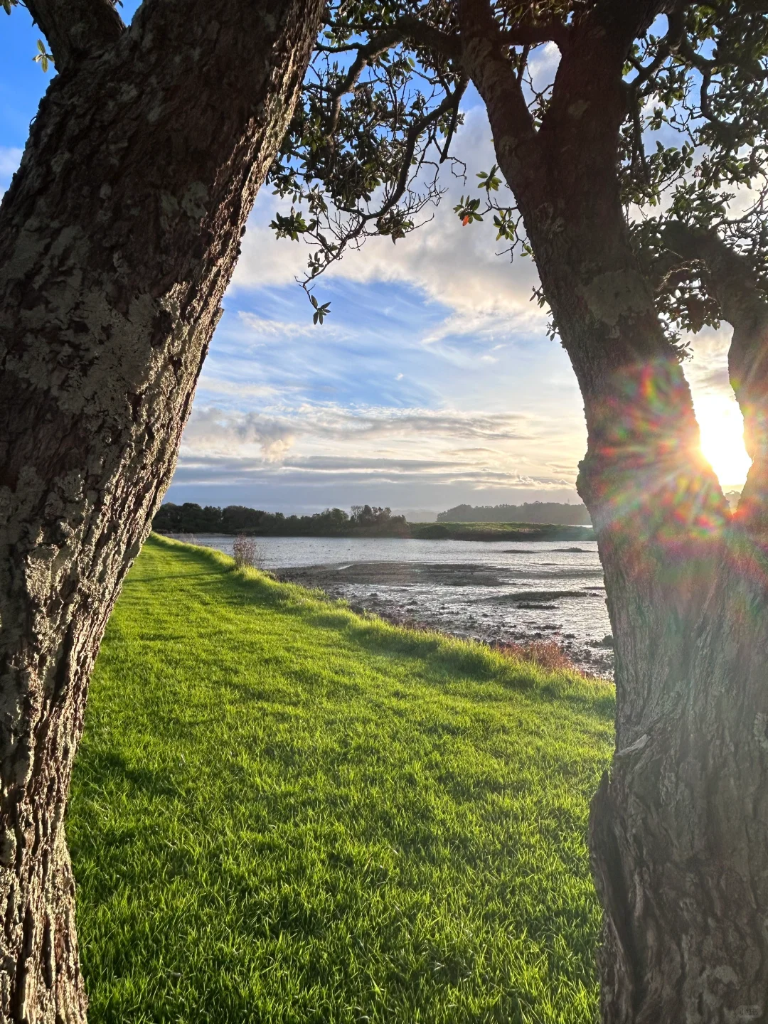 为什么我这么喜欢新西兰