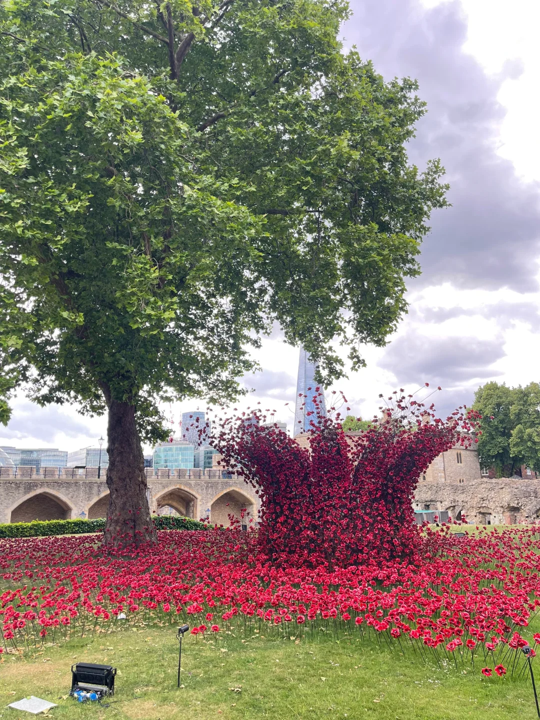 DAY 2🇬🇧伦敦旅游攻略|游记,一天走多少步