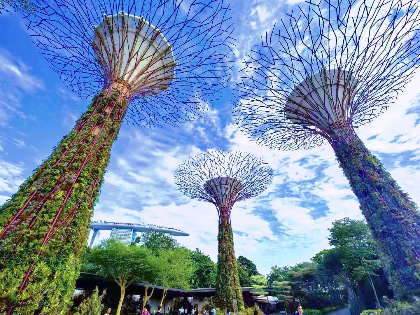 对女性最友好的国家，没有之一——新加坡🇸🇬