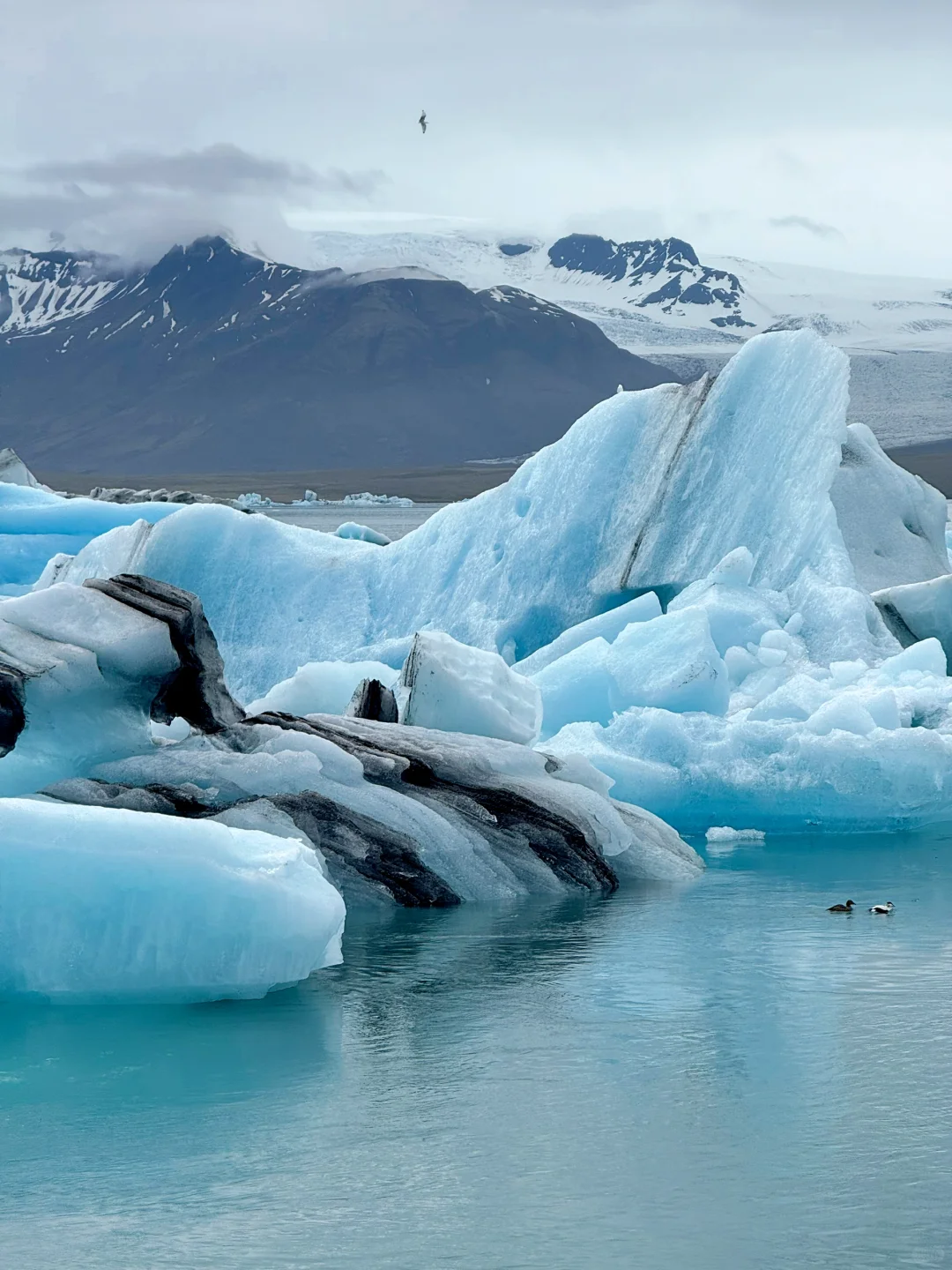 🌸 5月的冰岛,已经美到Next Level了!