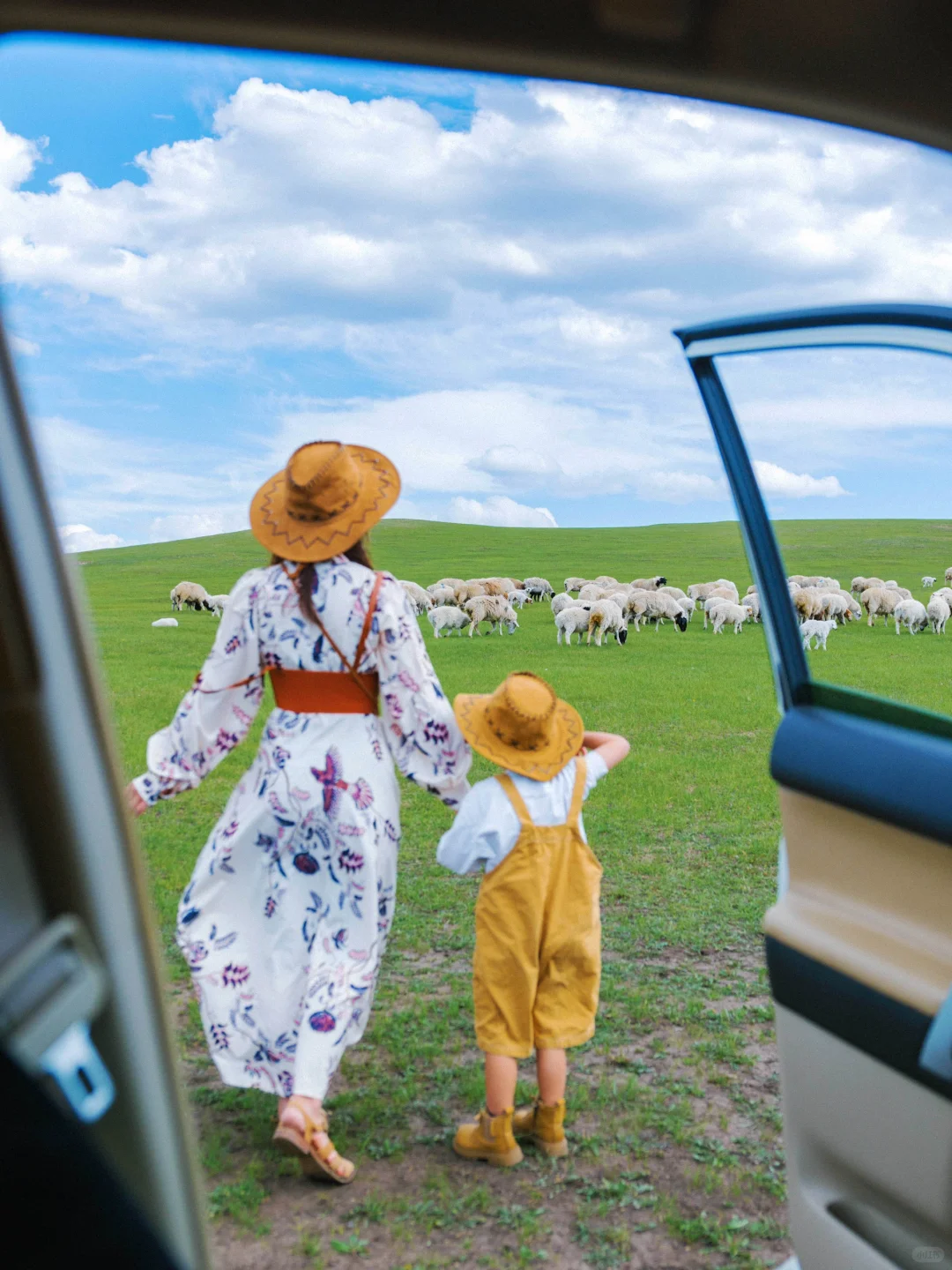夏天的呼伦贝尔太适合遛娃了！六天五夜攻略