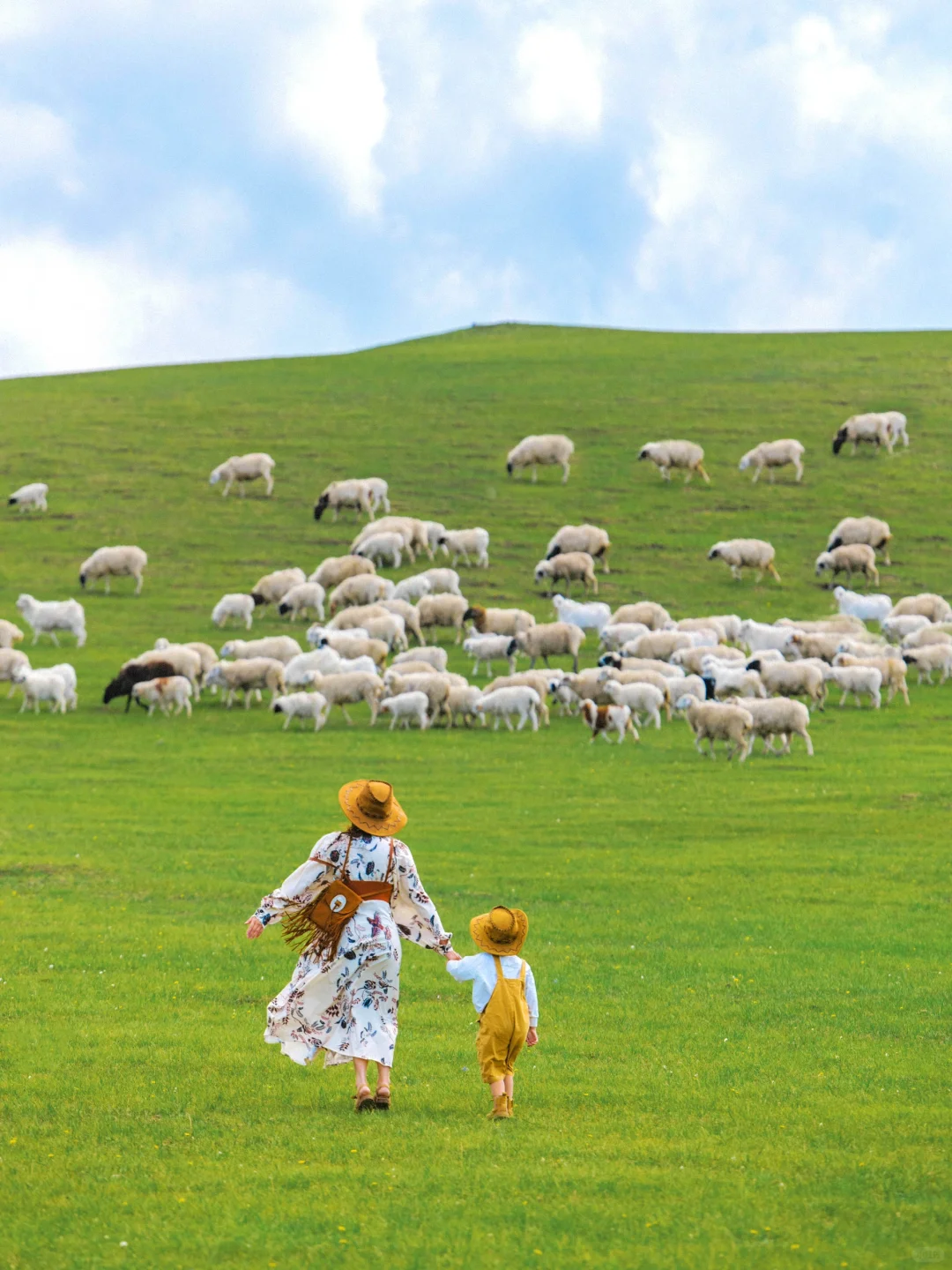 夏天的呼伦贝尔太适合遛娃了！六天五夜攻略