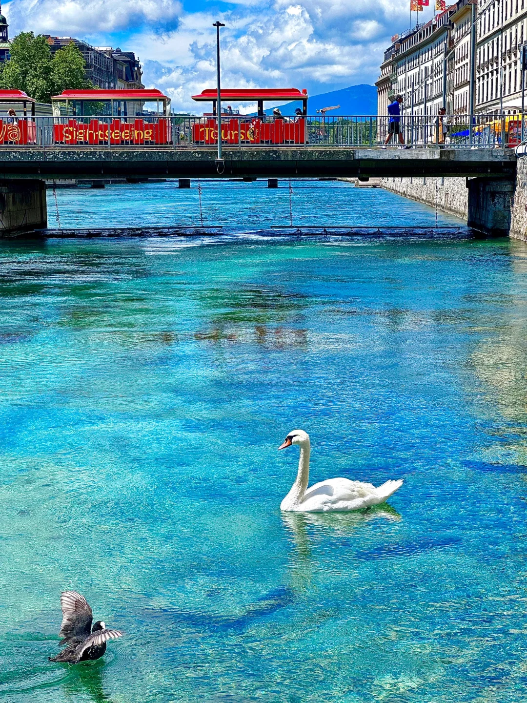 在瑞士🇨🇭拍到的每一张都是人生照片！！！