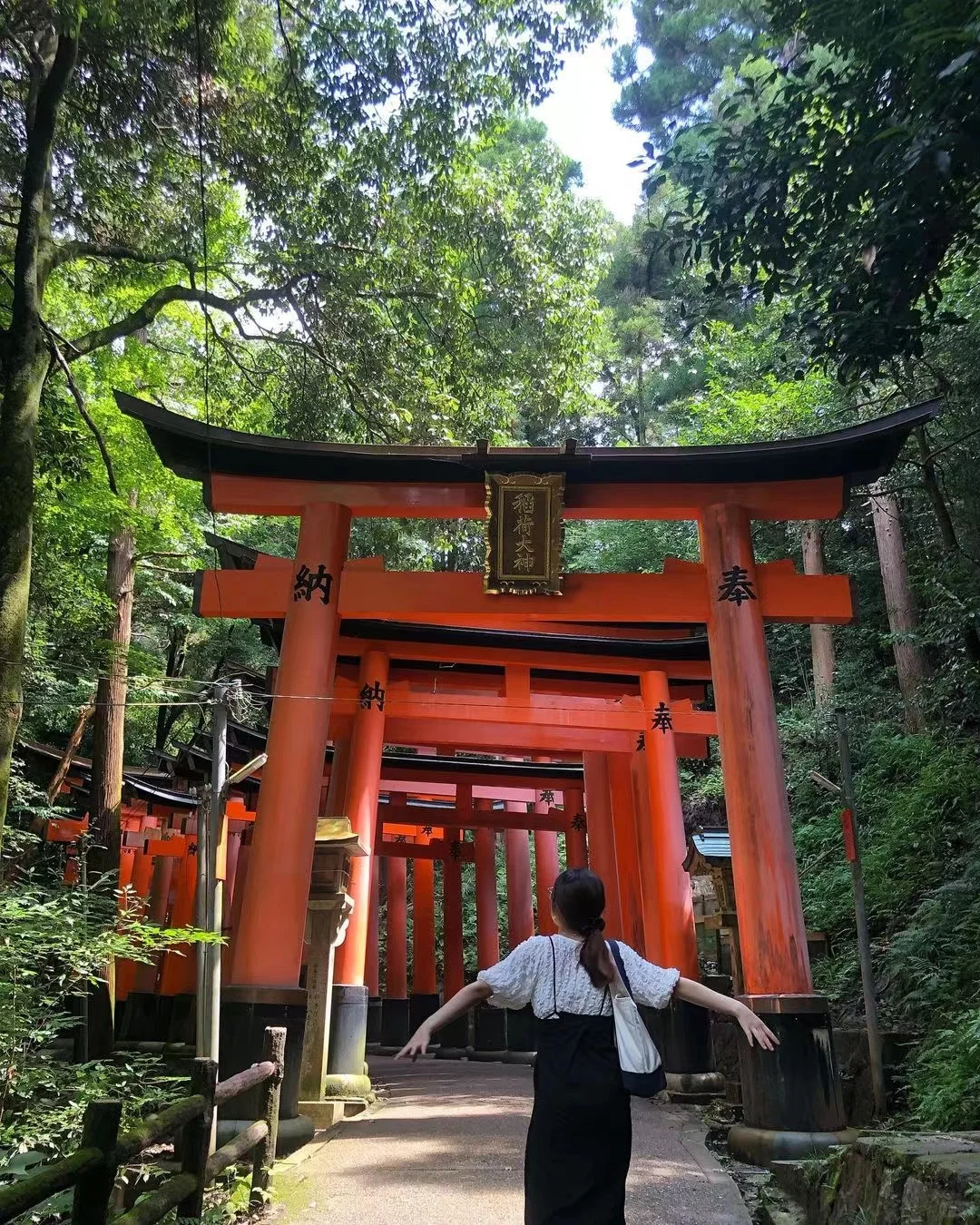 日本旅游已回，血泪教训！！！