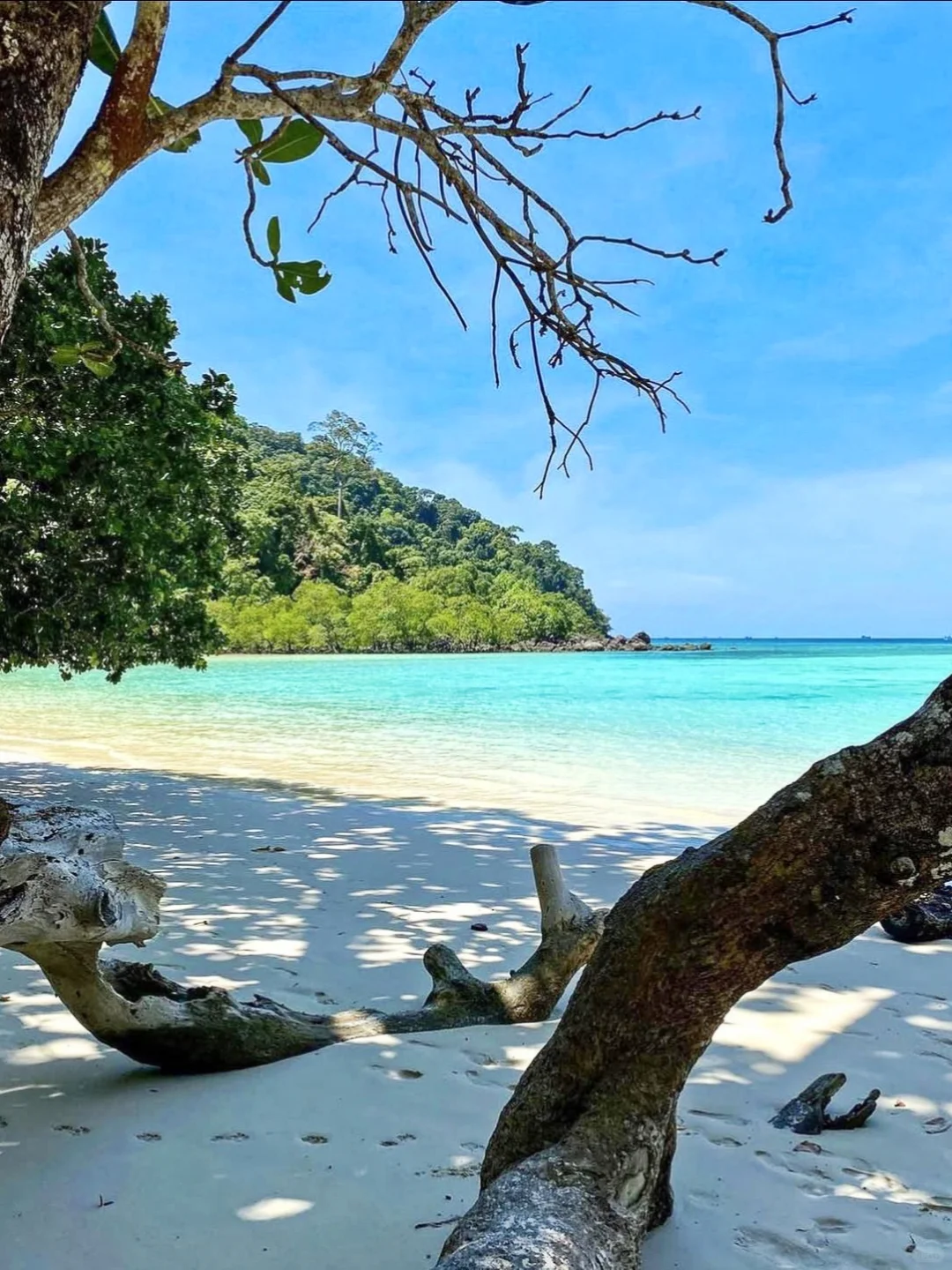 第一次出国旅游，不如考虑一下东南亚的泰国