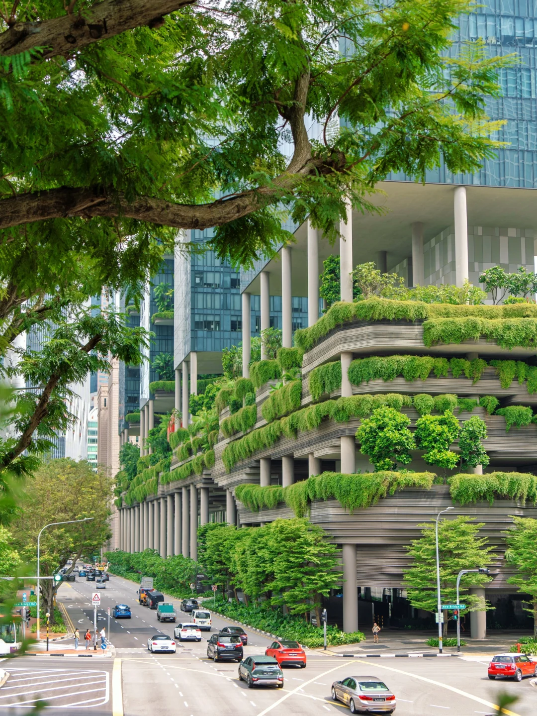 花小钱‼️盘点2025去过的8个境外宝藏旅游地