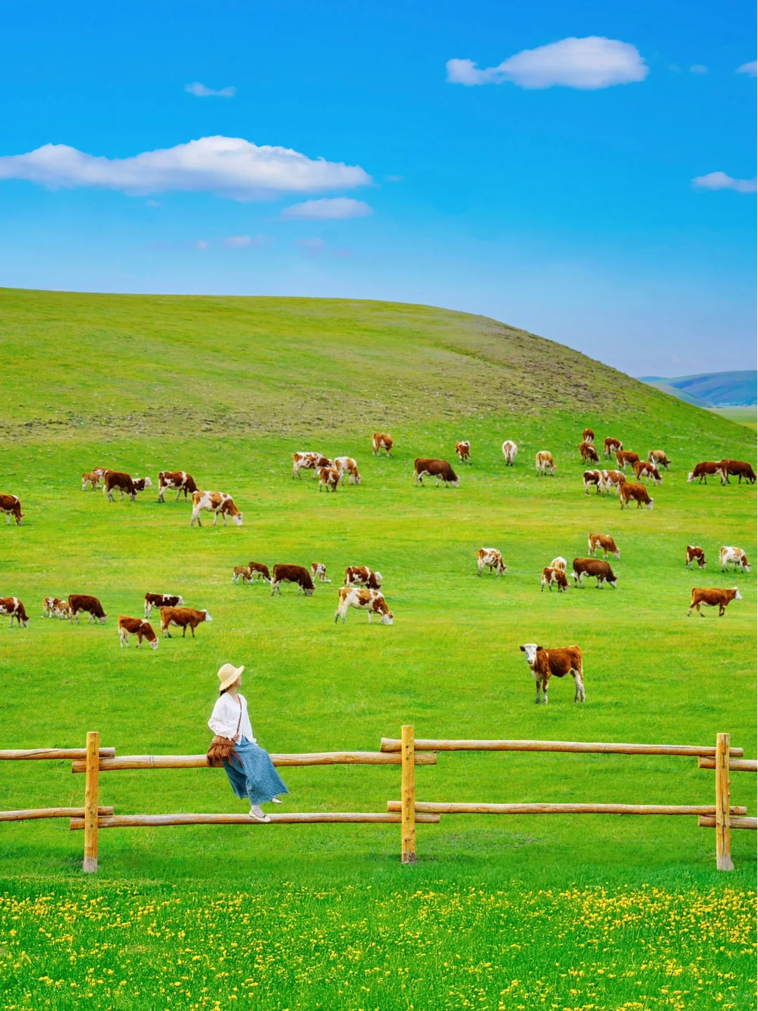 玩明白了!呼伦贝尔6天5晚超全攻略!不踩雷❗️