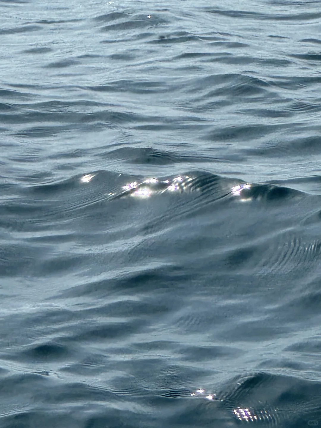 救命!被问800遍的富国岛攻略藏不住了!!