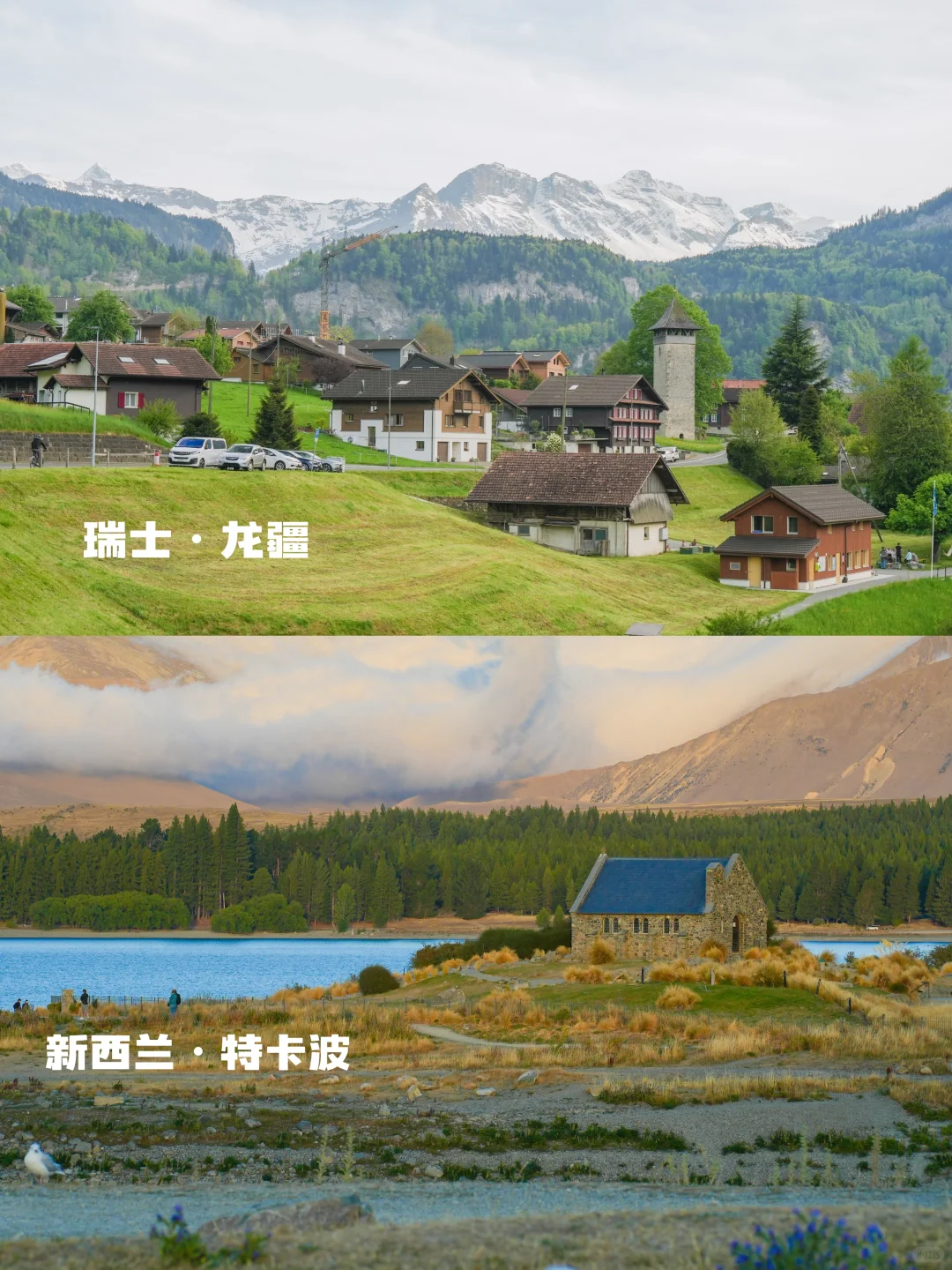 瑞士🆚新西兰实拍对比‼️吃喝玩乐优缺点速看