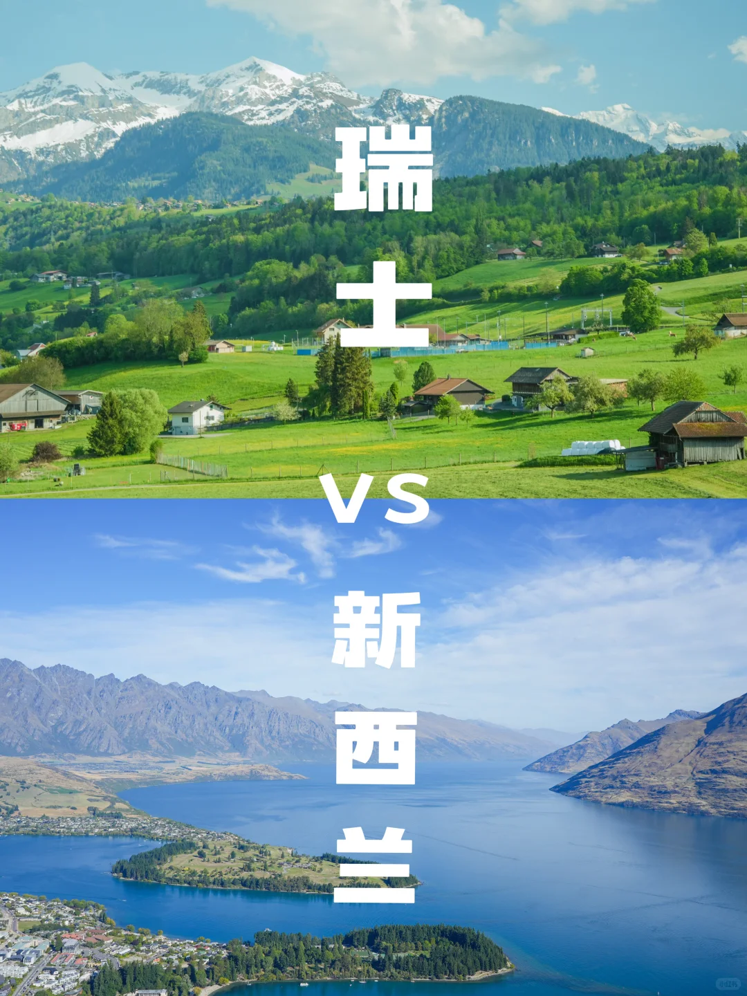 瑞士🆚新西兰实拍对比‼️吃喝玩乐优缺点速看