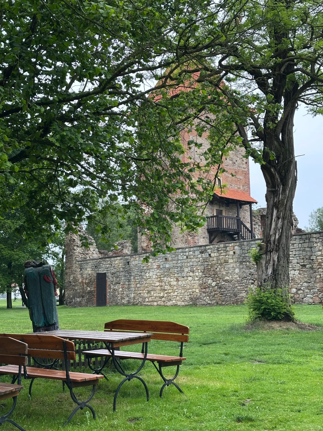 波兰之树屋是真的树 ，自己长成了个“客厅”！