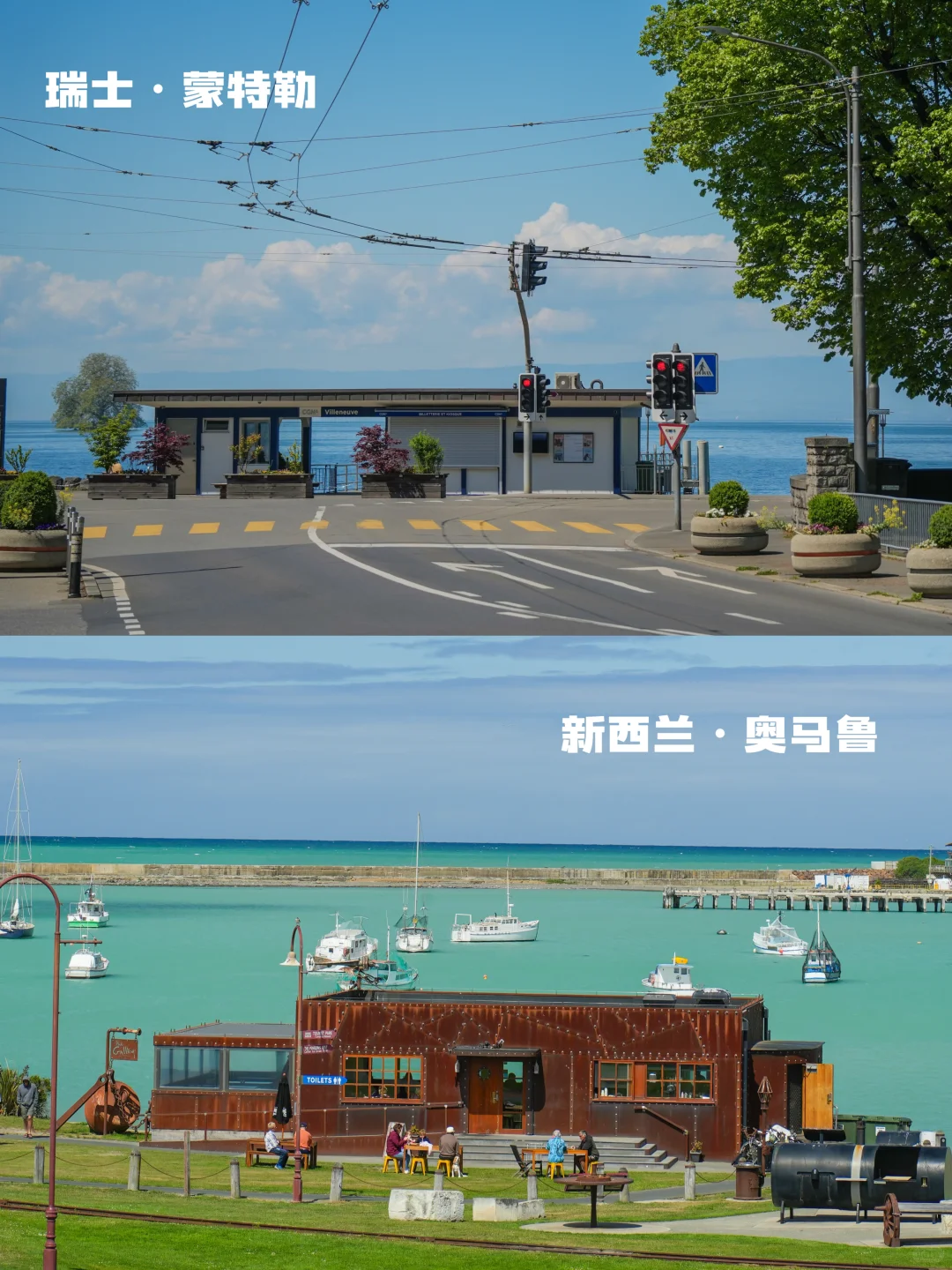 瑞士🆚新西兰实拍对比‼️吃喝玩乐优缺点速看