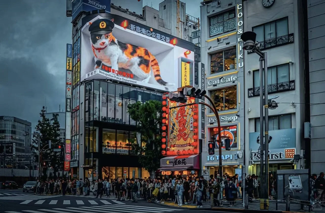 日本旅游已回，血泪教训！！！