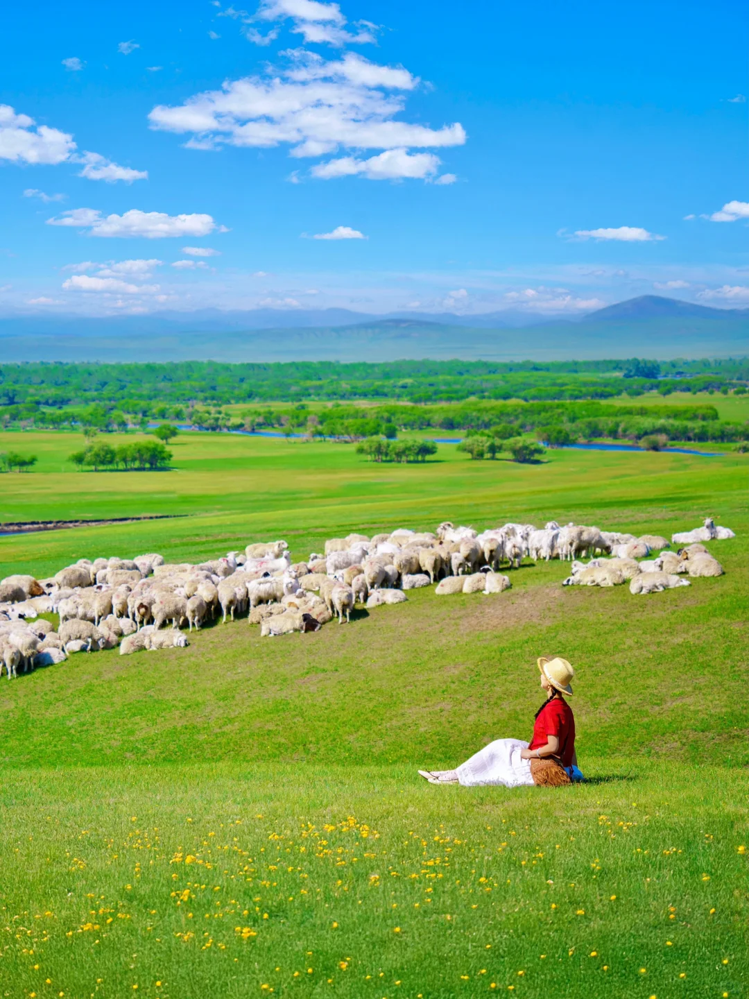 玩明白了!呼伦贝尔6天5晚超全攻略!不踩雷❗️