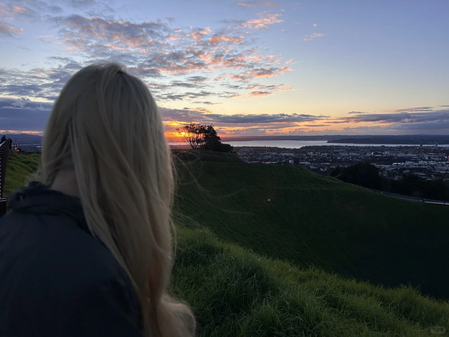 为什么我这么喜欢新西兰