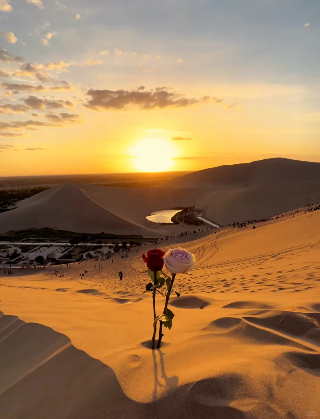 端午青海3天2夜旅游攻略|一场极致的浪漫