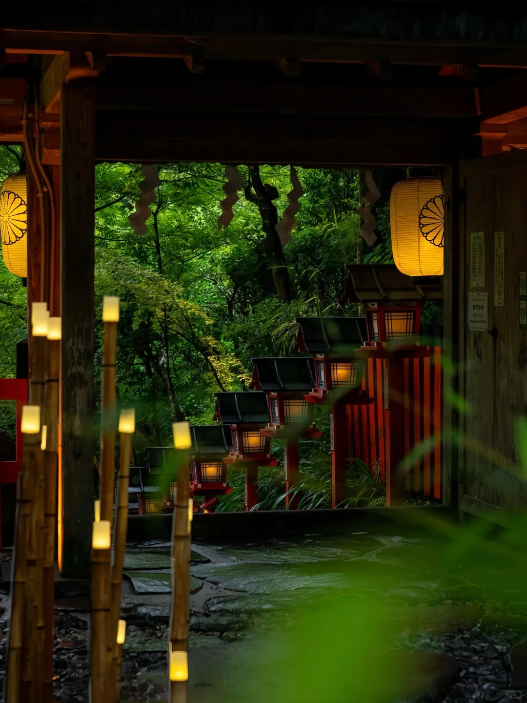 在日本玩了9天，我的消费观真的崩塌了😭