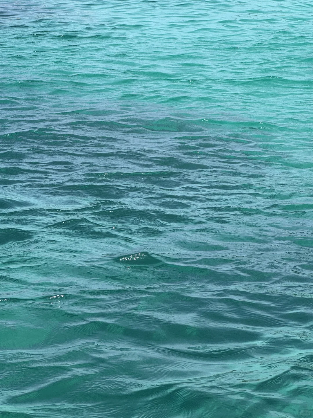 救命!被问800遍的富国岛攻略藏不住了!!