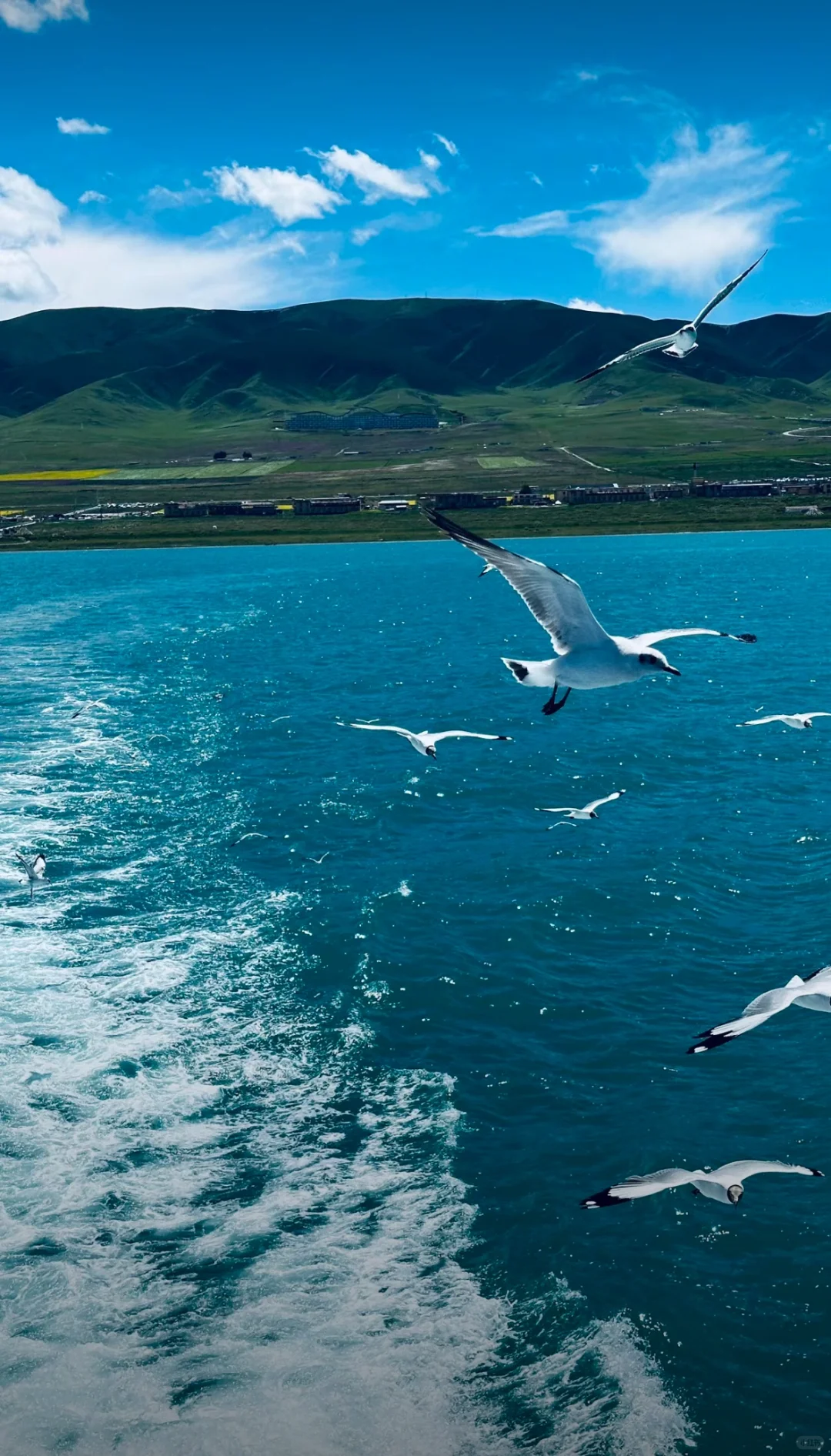 端午青海3天2夜旅游攻略|一场极致的浪漫
