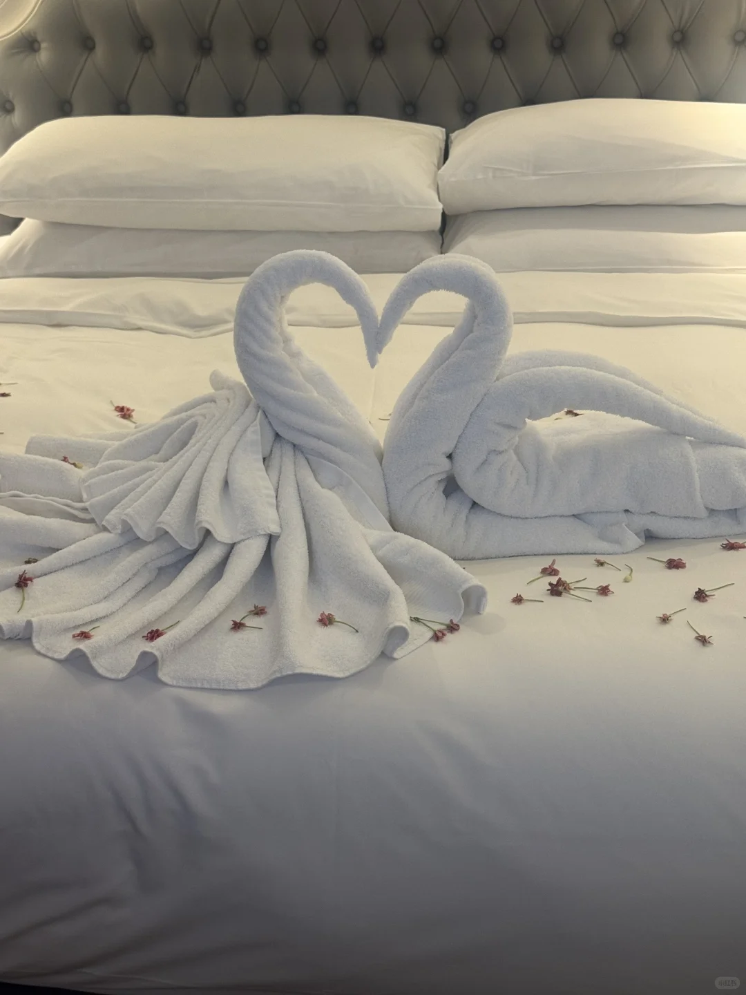 救命!被问800遍的富国岛攻略藏不住了!!