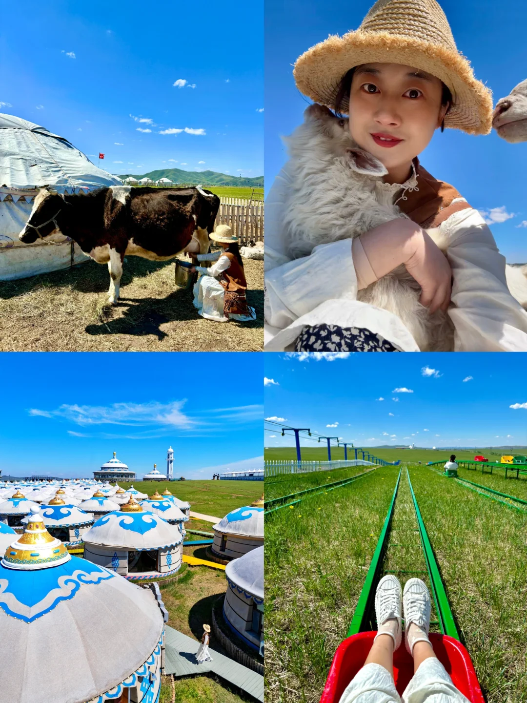 玩明白了!呼伦贝尔6天5晚超全攻略!不踩雷❗️