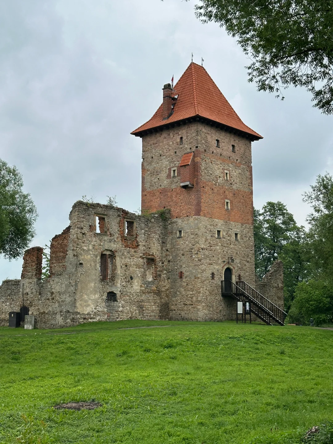 波兰之树屋是真的树 ，自己长成了个“客厅”！