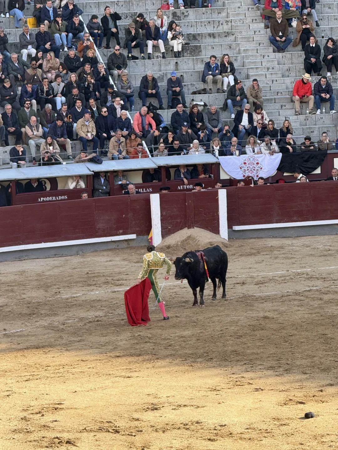 国外旅游搭子群