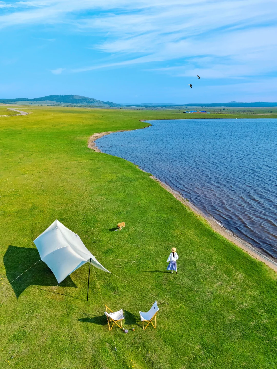 玩明白了!呼伦贝尔6天5晚超全攻略!不踩雷❗️