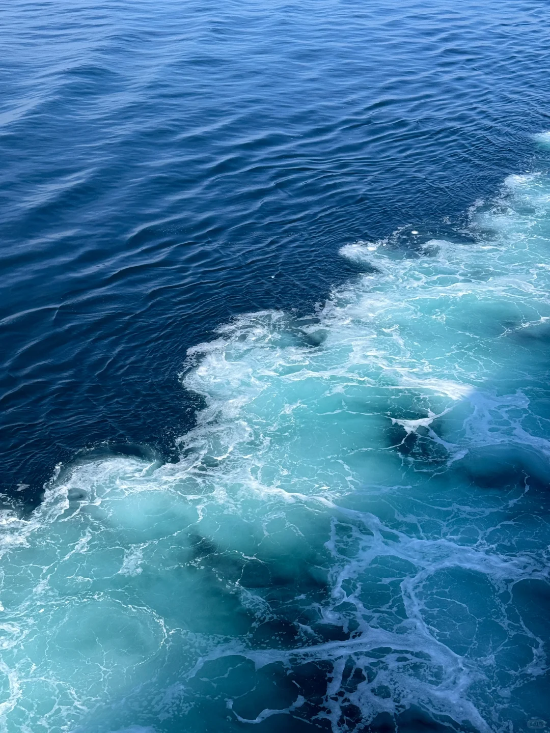 邮轮旅行🛳️ 日本+韩国💰总花费1514人民币